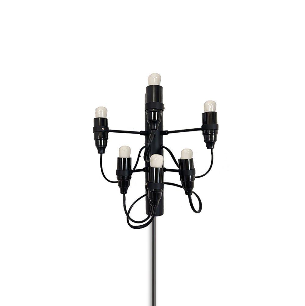 Fruit Plug-in Wall Lamp 6 Heads Dia 9.5″ x H 10.6″ & 1 Piece / Matt black / US Plug Wall lamp