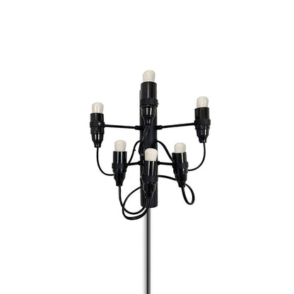 Fruit Plug-in Wall Lamp 6 Heads Dia 9.5″ x H 10.6″ & 1 Piece / Matt black / US Plug Wall lamp