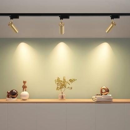 Gilded Rail Track Light Ceiling lamp