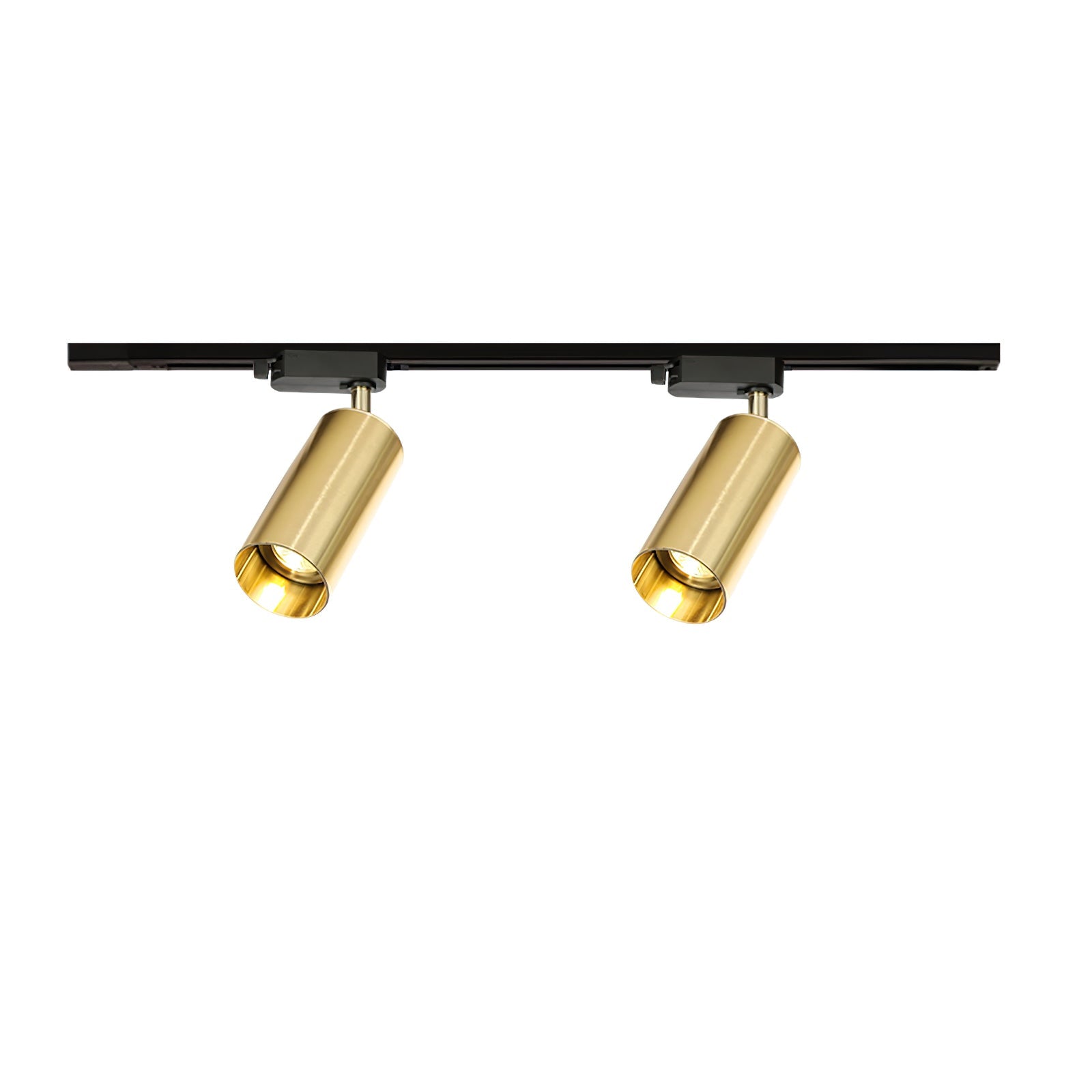 Gilded Rail Track Light 2-Lights L 19.7″ x H 6.7″ / Black & Gold Ceiling lamp