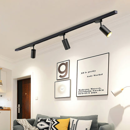 Gilded Rail Track Light Ceiling lamp