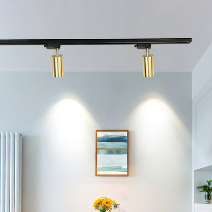 Gilded Rail Track Light Ceiling lamp