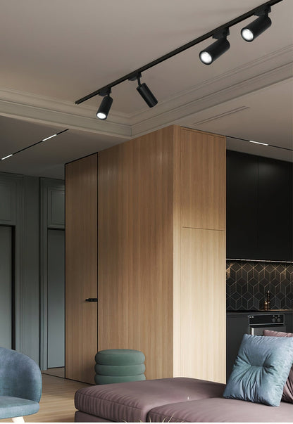 Gilded Rail Track Light Ceiling lamp