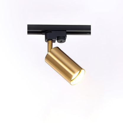 Gilded Rail Track Light Ceiling lamp