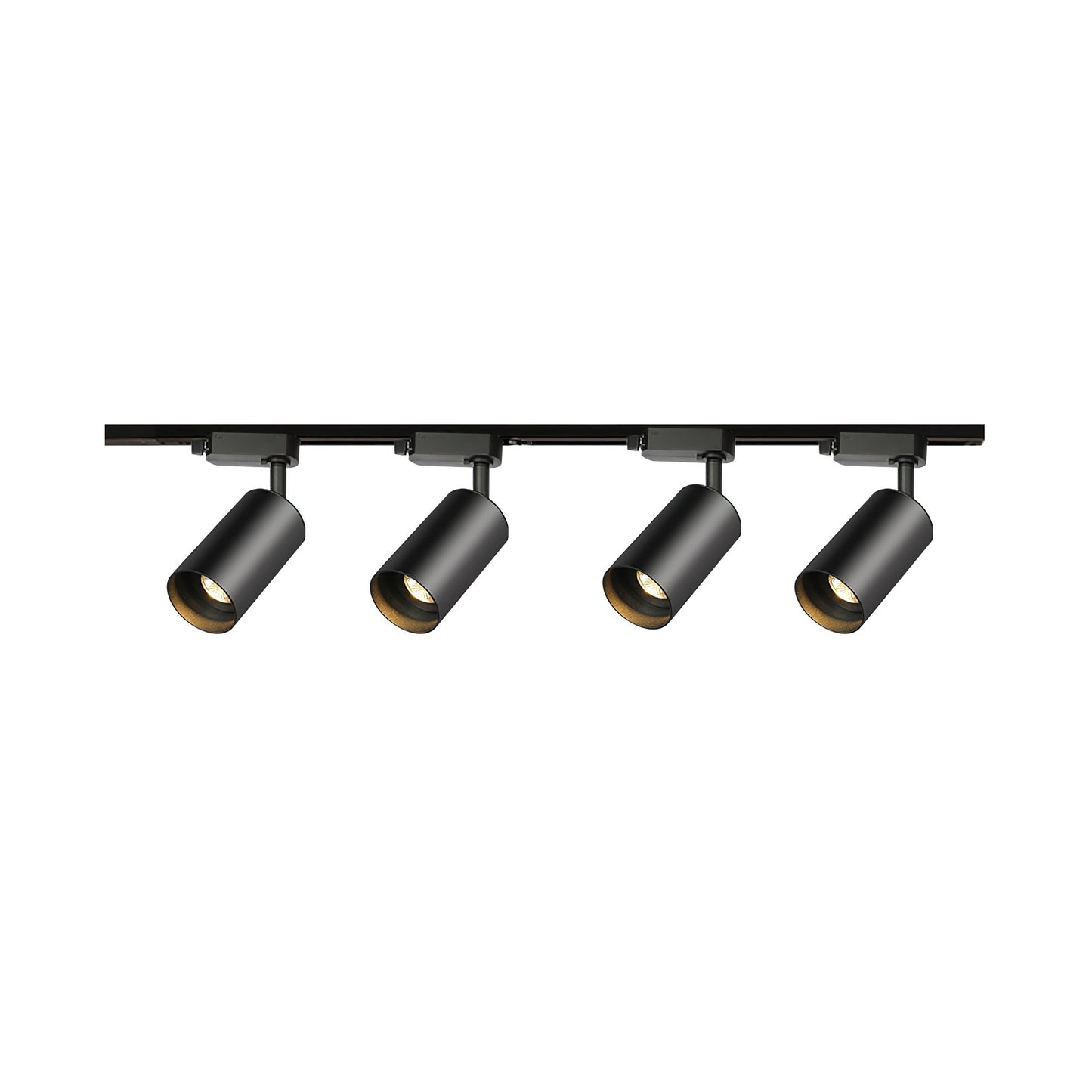 Gilded Rail Track Light 4-Lights L 39.4″ x H 8.7″ / Black Ceiling lamp