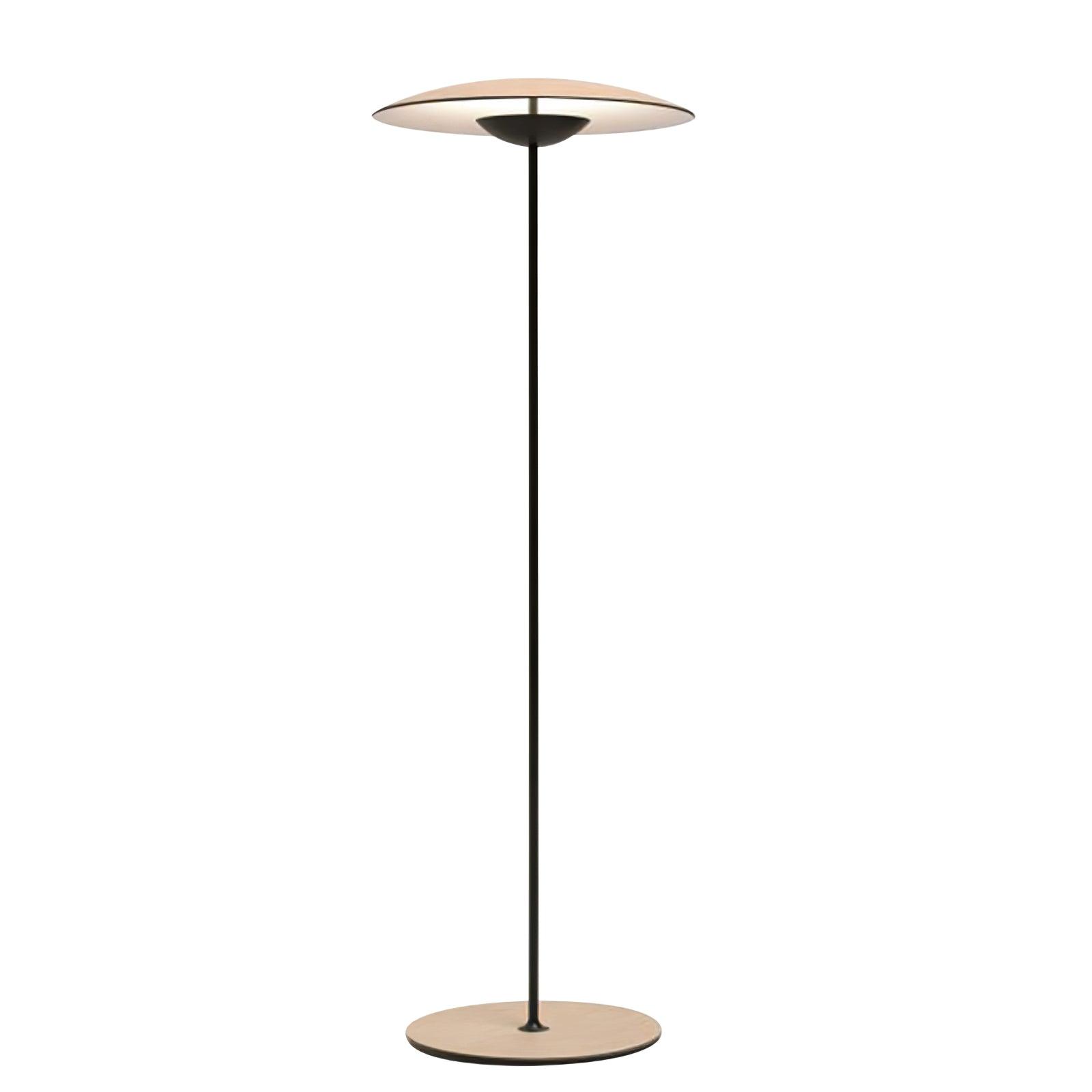 Innovative Directional Floor Lamp Floor lamp