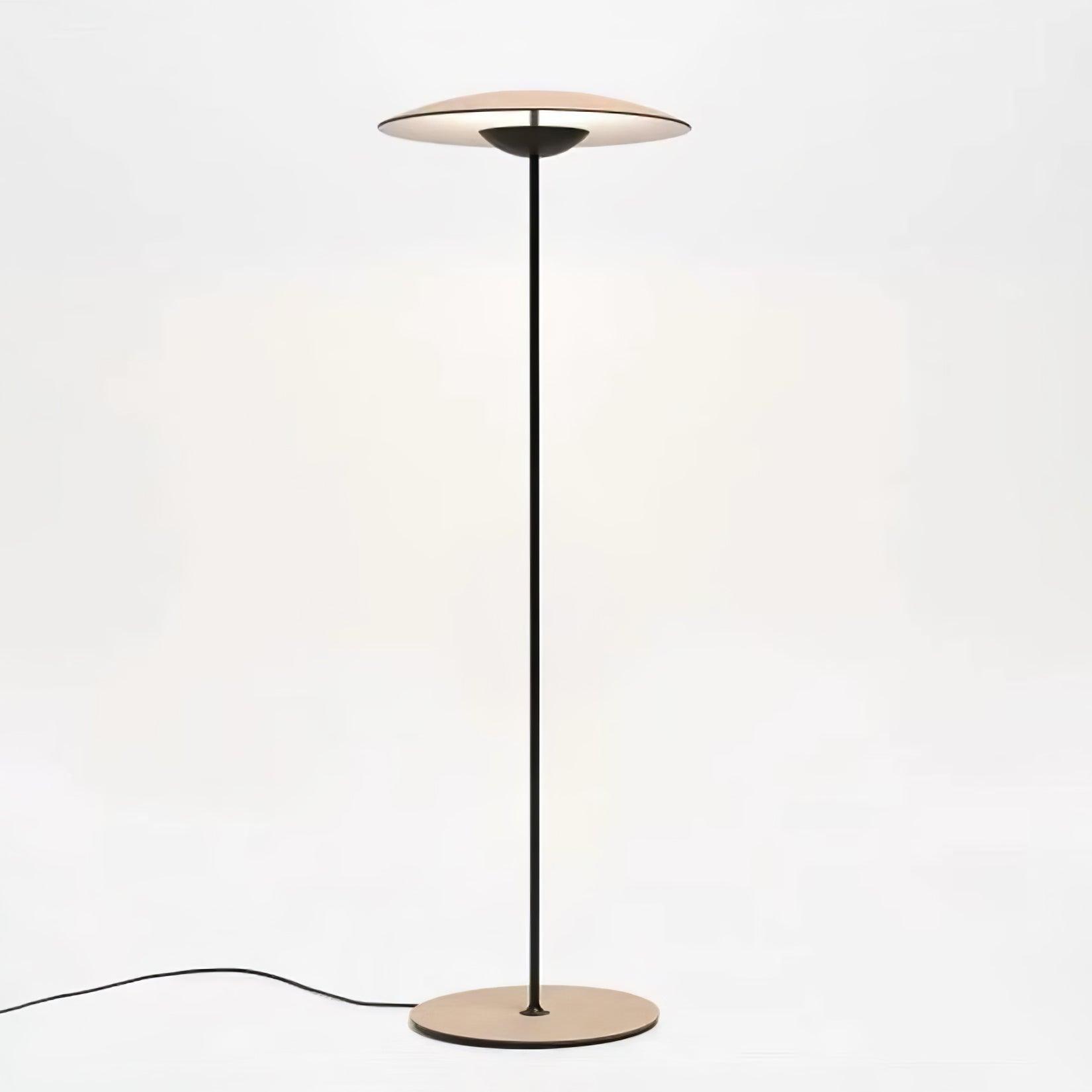 Innovative Directional Floor Lamp Floor lamp