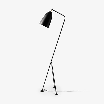 Grasshopper Floor Lamp ? 16.9″ x H 58.3″ / W 43cm x H 148cm / Black / US Plug Floor lamp