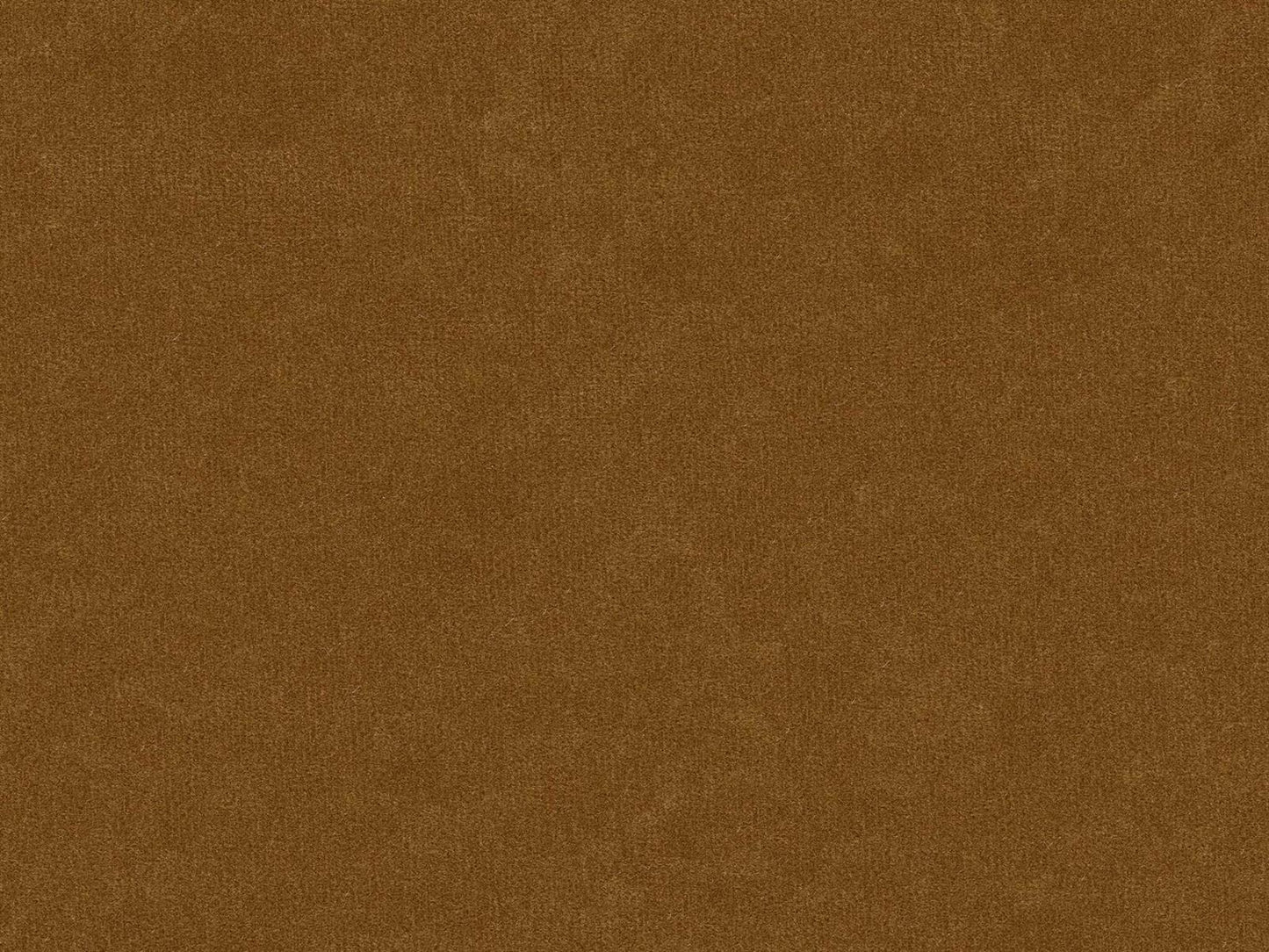 Hickory White