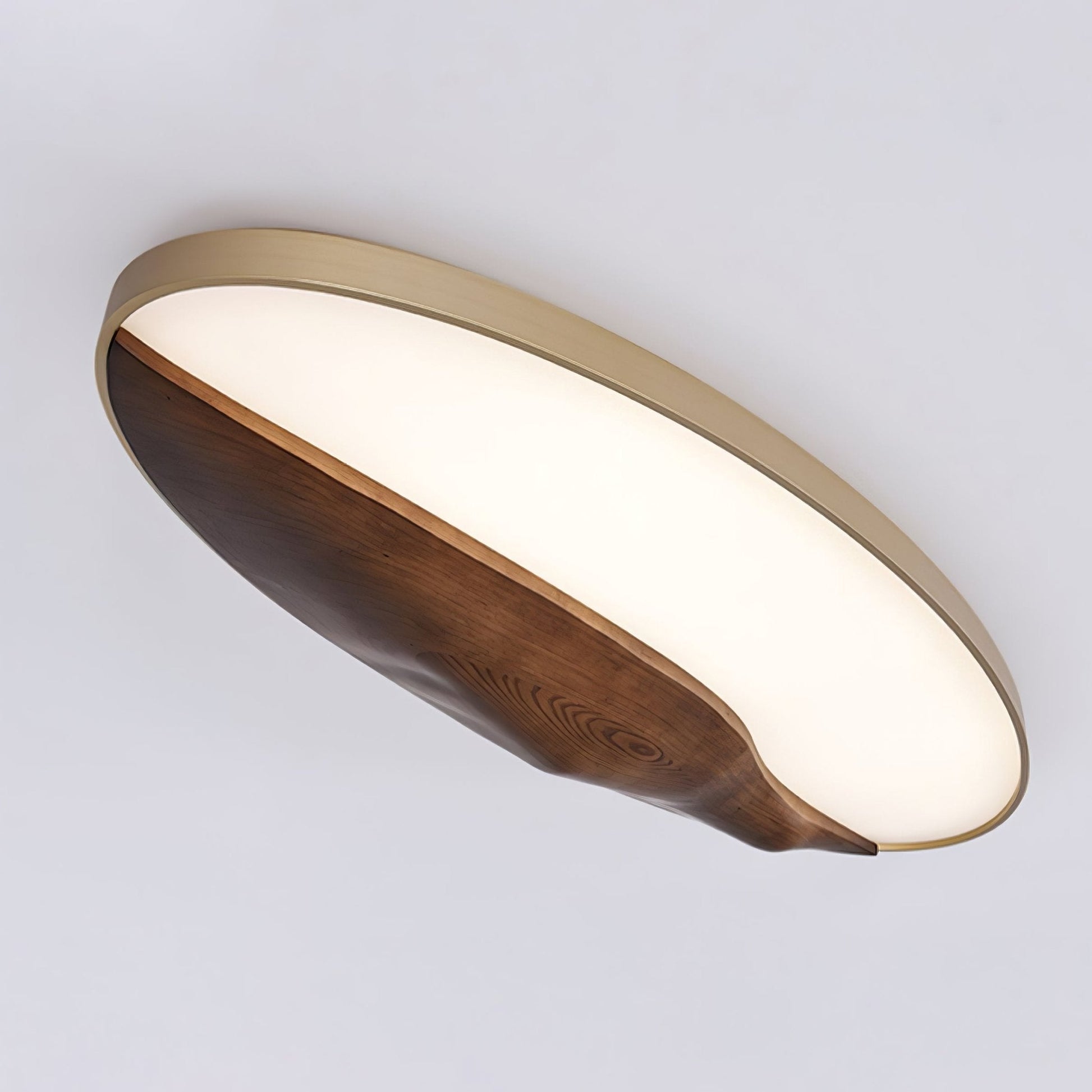 Half-Mountain Ceiling Lamp Ceiling lamp