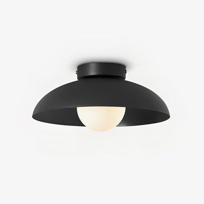Harper Glass Dome Ceiling Lamp Ceiling lamp