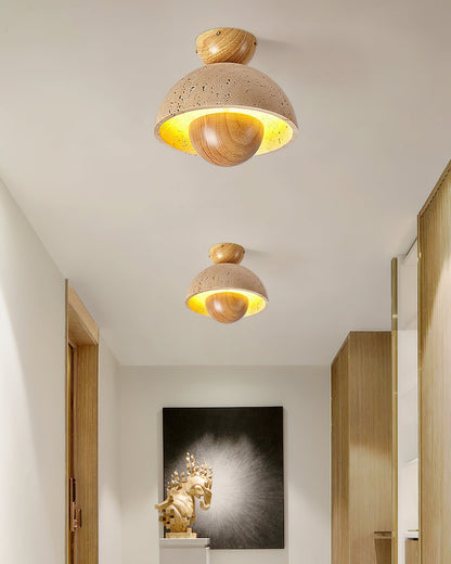 Inverted Ceiling Lamp Ceiling lamp