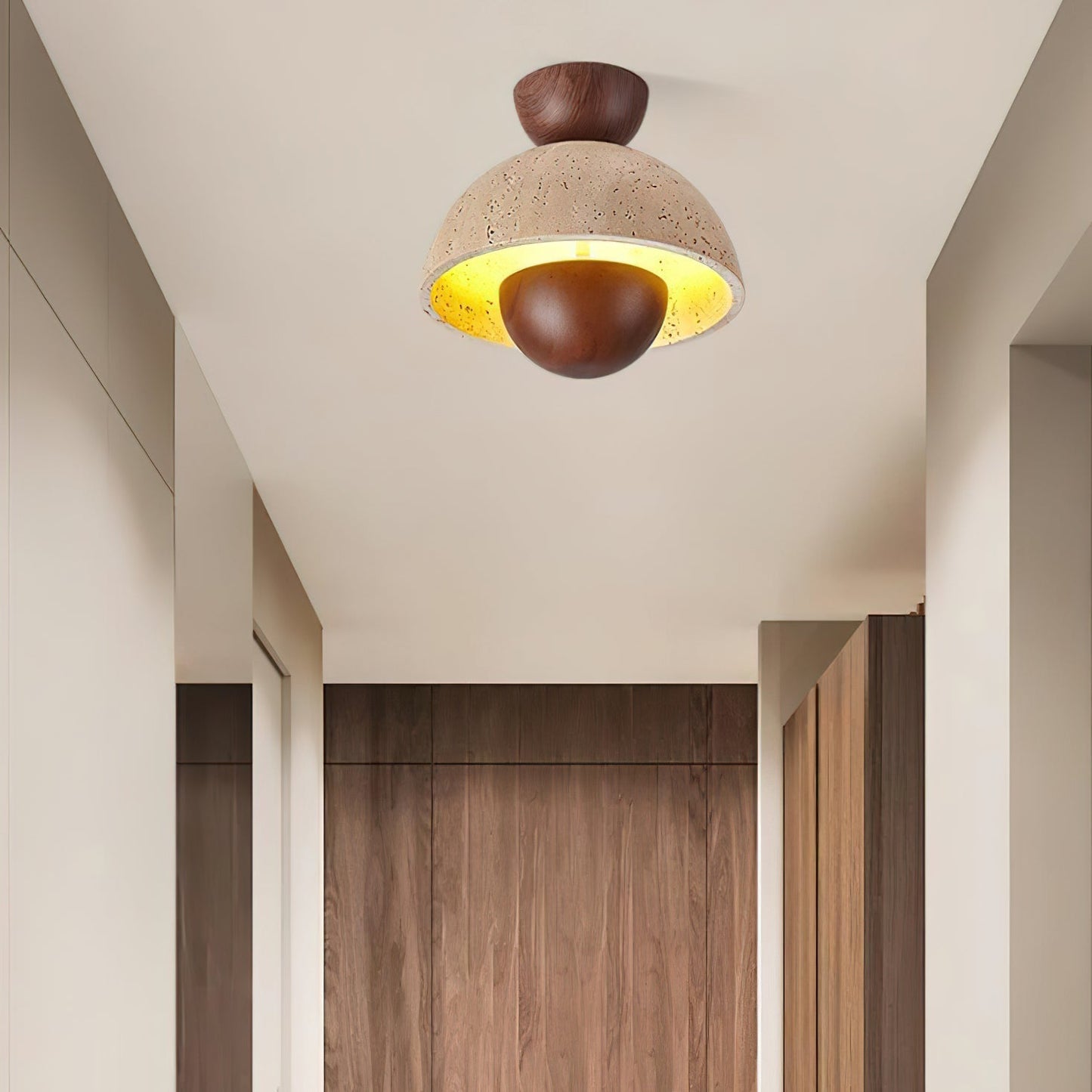 Inverted Ceiling Lamp Ceiling lamp