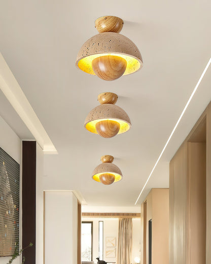 Inverted Ceiling Lamp Ceiling lamp