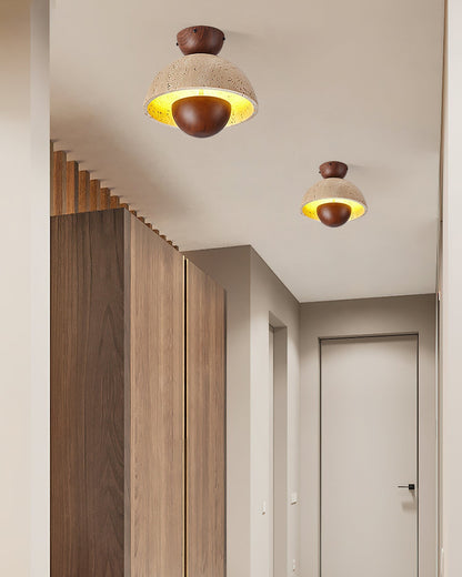 Inverted Ceiling Lamp Ceiling lamp