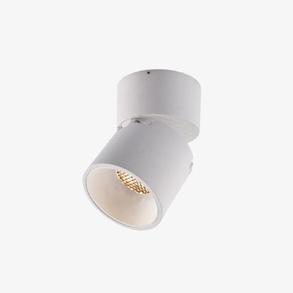 Lara2 Spotlights Ceiling lamp