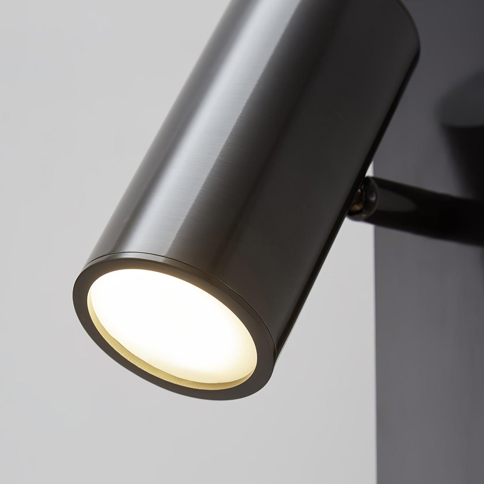 Long Arm Plug-in Wall Light Wall lamp