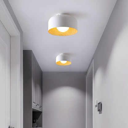Lumosphere Ceiling Light Ceiling lamp