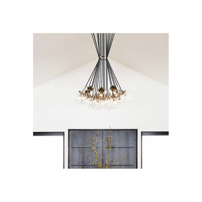 Clara Chandelier