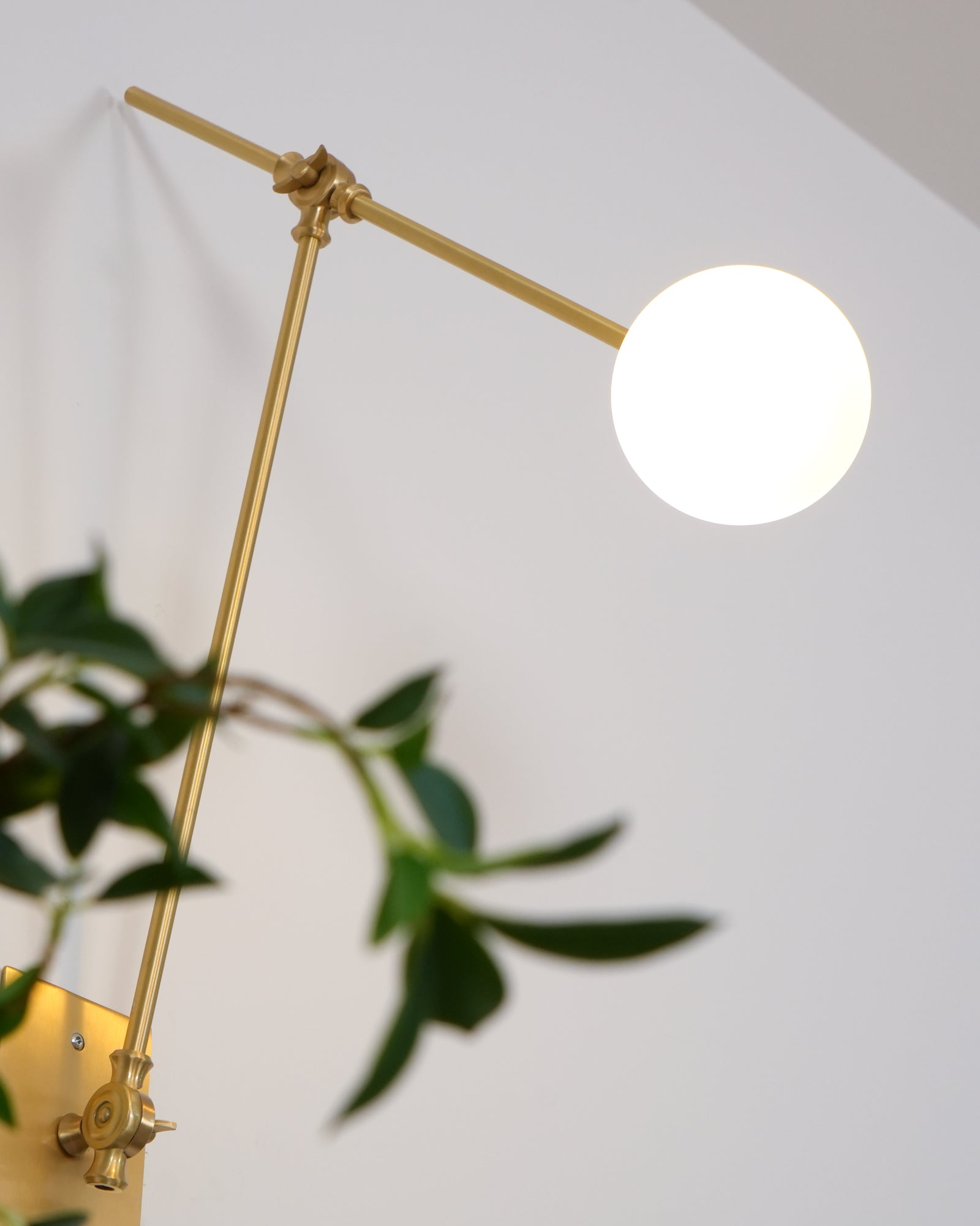 Auguri Wall Lamp W 5.9″x H 20.1″ / W 15cm x H 51cm / White & Brass Wall lamp
