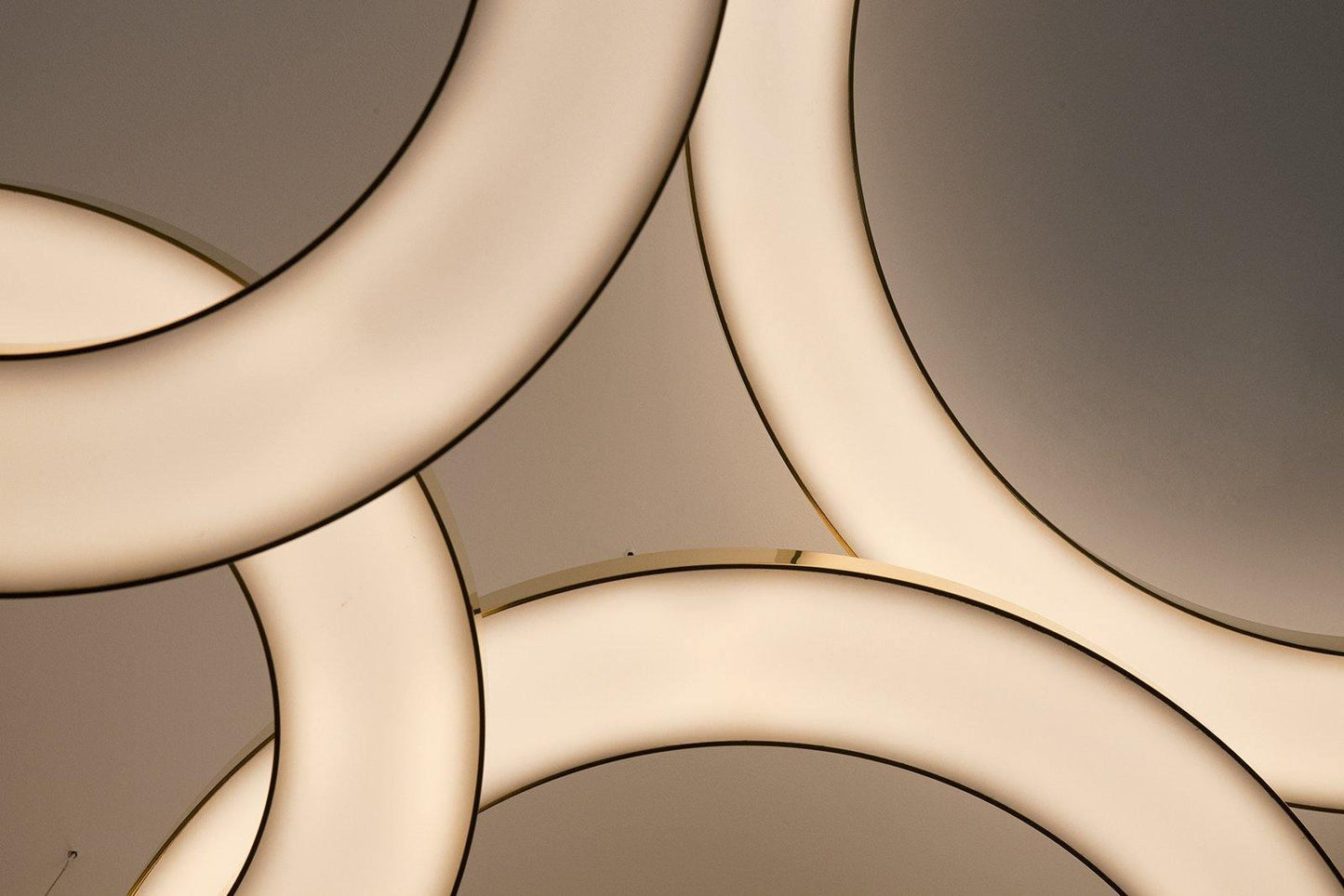 Ring LED Pendant Light Chandelier