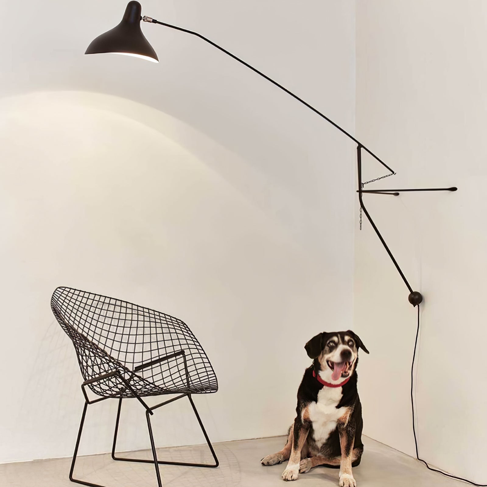 Mantis Arm Wall Lamp Wall lamp