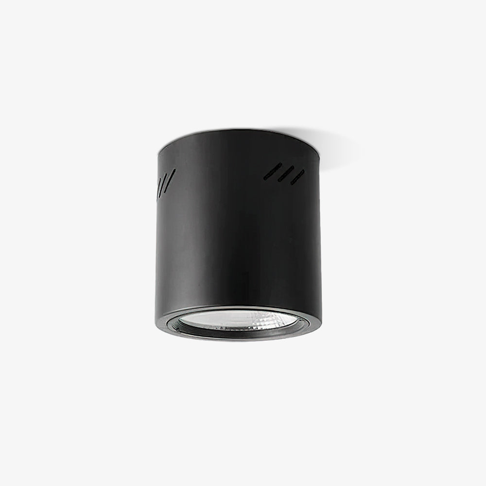 Maxi Rebel Spotlight Ceiling lamp