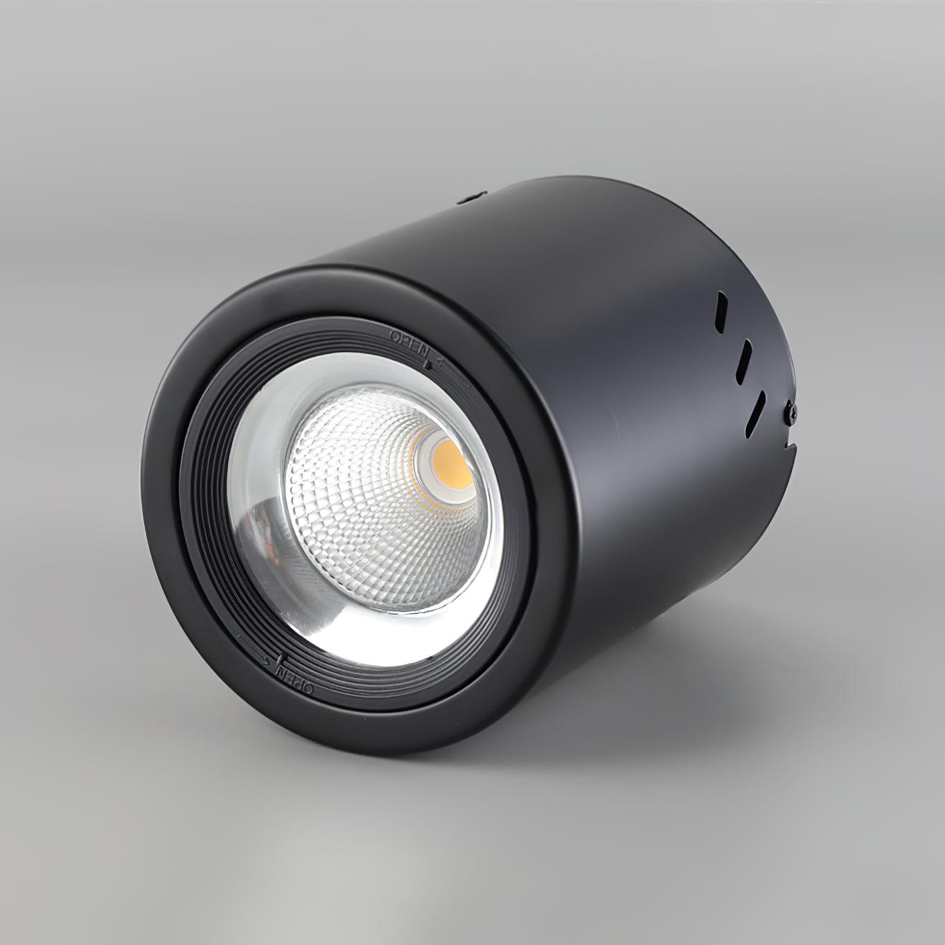 Maxi Rebel Spotlight Ceiling lamp