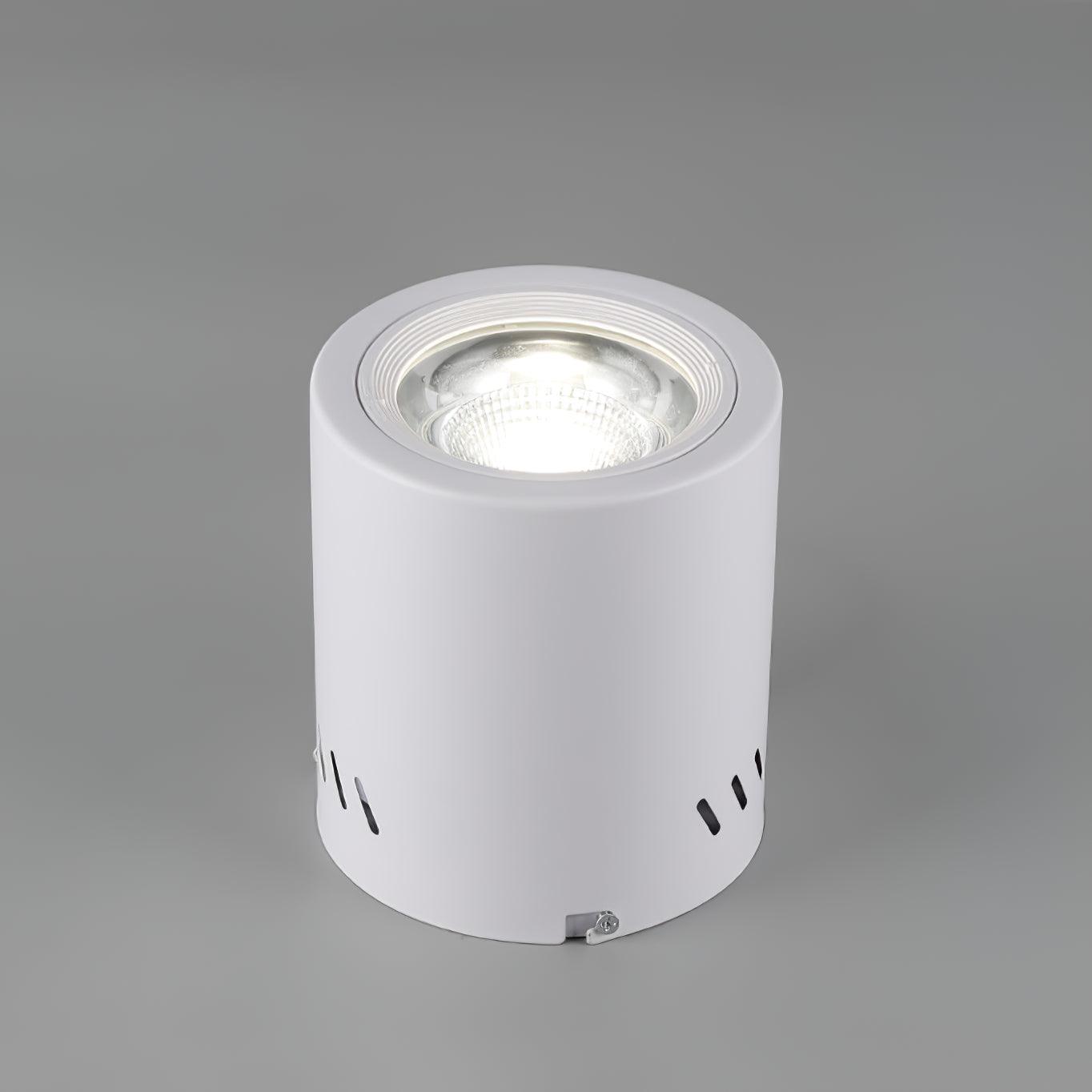 Maxi Rebel Spotlight Ceiling lamp