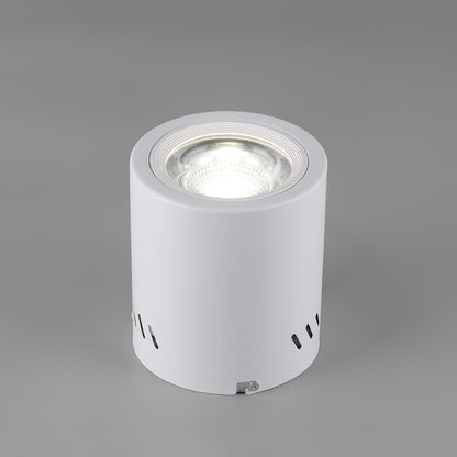 Maxi Rebel Spotlight Ceiling lamp