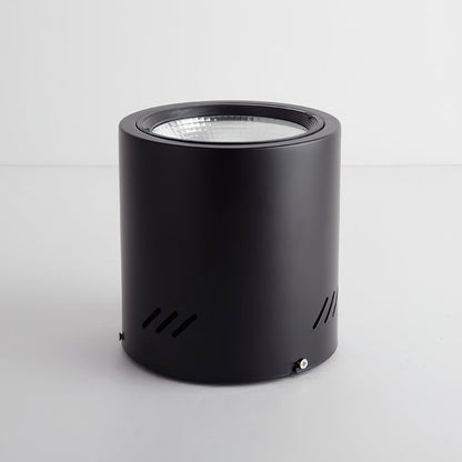Maxi Rebel Spotlight Ceiling lamp