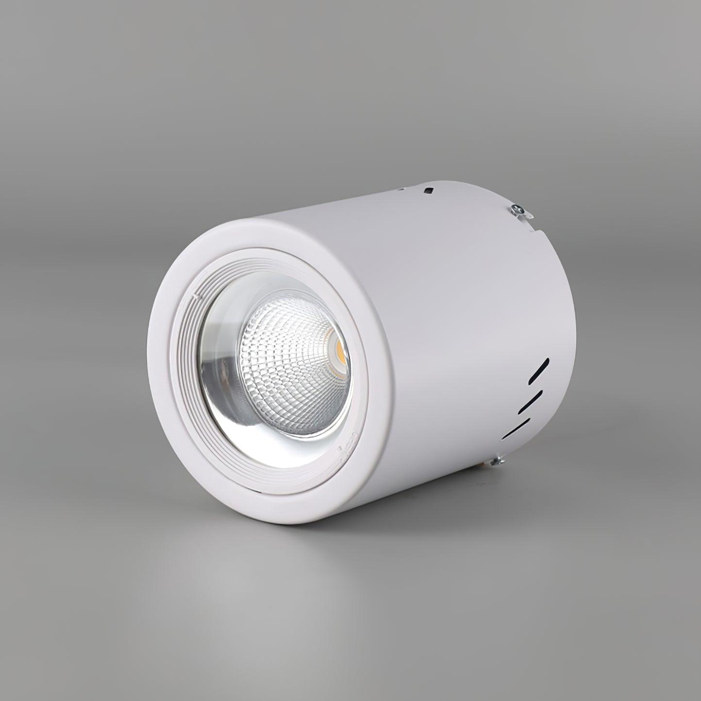 Maxi Rebel Spotlight Ceiling lamp