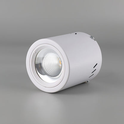 Maxi Rebel Spotlight Ceiling lamp