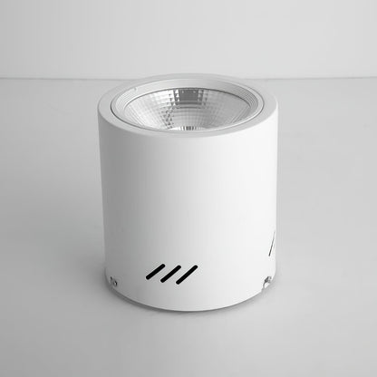 Maxi Rebel Spotlight Ceiling lamp