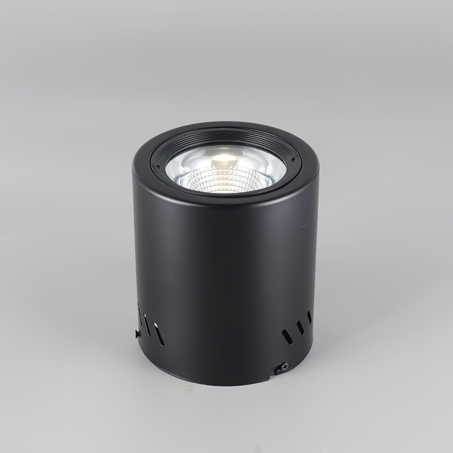 Maxi Rebel Spotlight Ceiling lamp