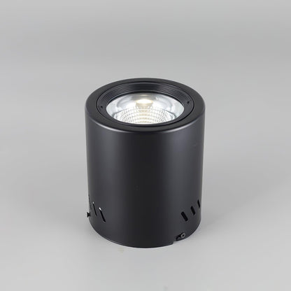 Maxi Rebel Spotlight Ceiling lamp