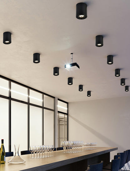 Maxi Rebel Spotlight Ceiling lamp