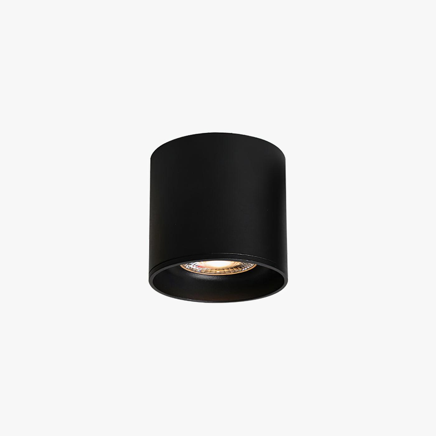 Modupoint Ceiling Light Dia 3.1″ x H 3.3″ / Dia 8cm x H 8.5cm / Black / Warm Light Ceiling lamp
