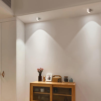 Modupoint Ceiling Light Ceiling lamp
