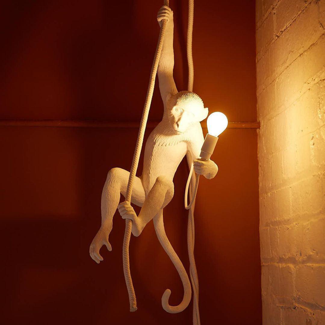 Monkey Pendant Lamp Pendant light