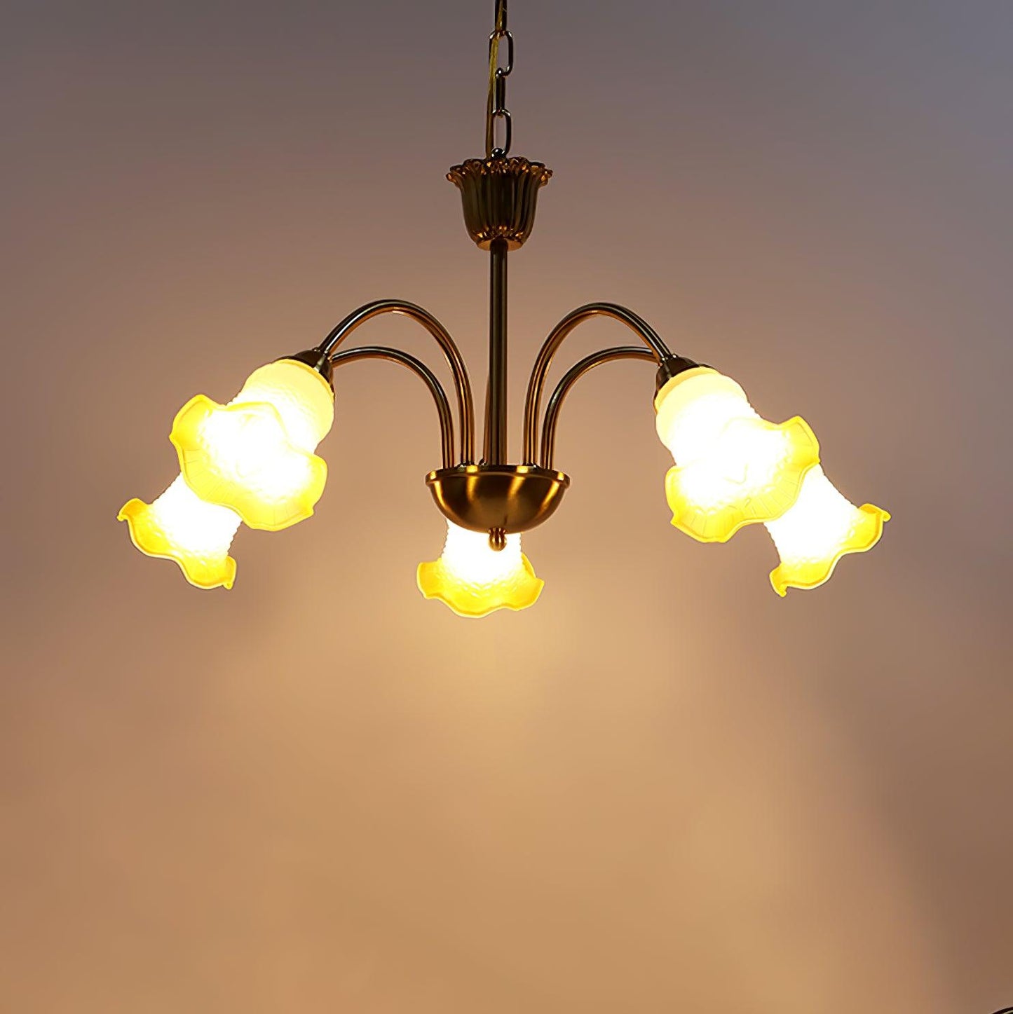 Morning Glory Chandelier 5 heads Dia 28.3″ x H 29.5″ / Dia 72cm x H 75cm / Yellow Chandelier