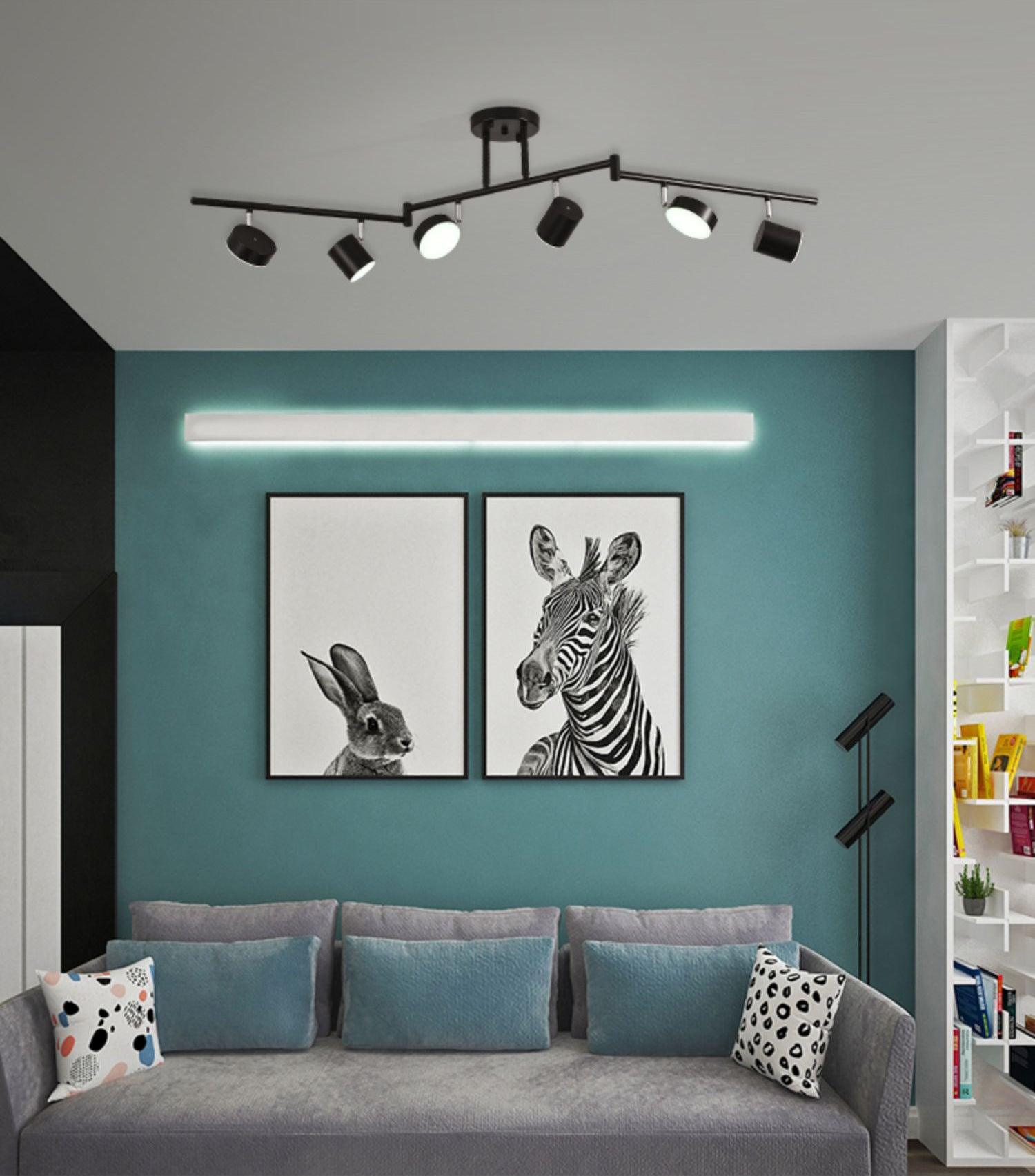 Track Light Ceiling Light 灯具