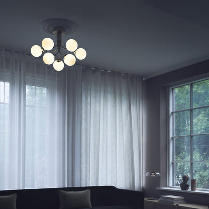 Apiales Semi-Flushmount