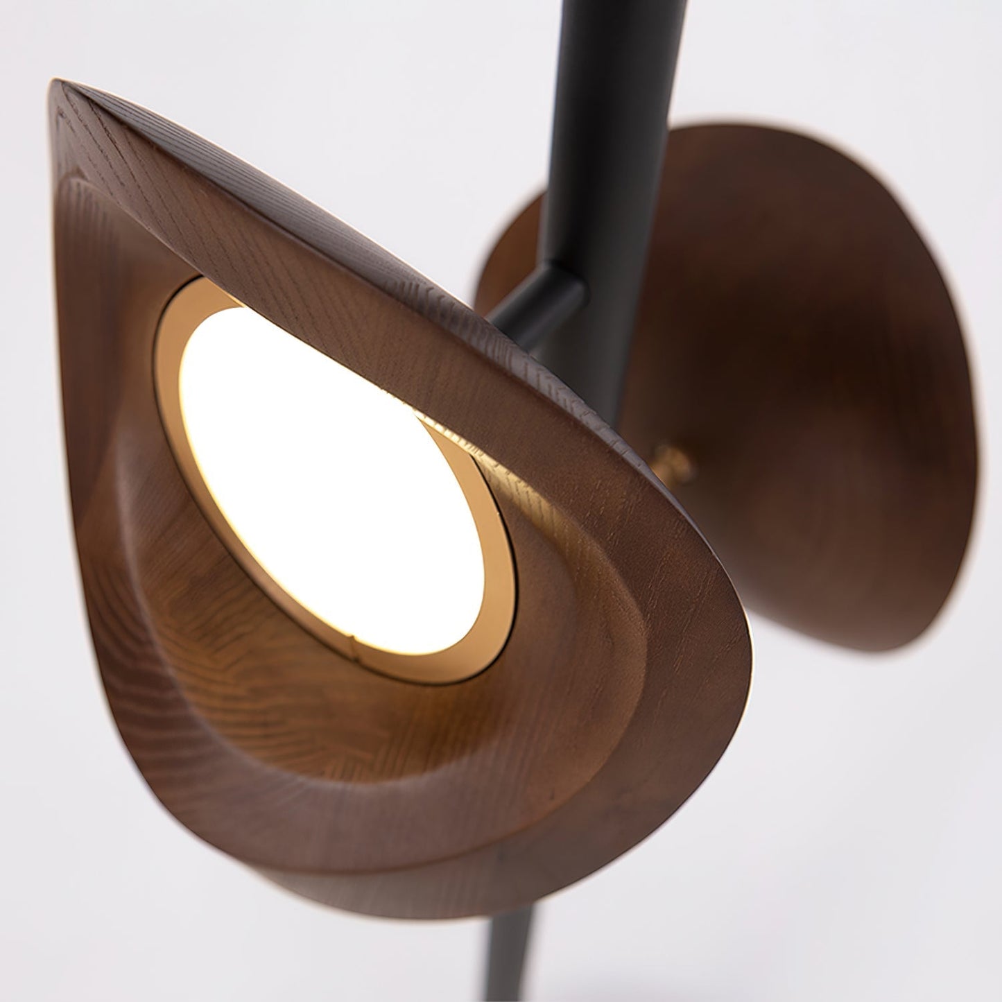 Nest Floor Lamp Floor lamp