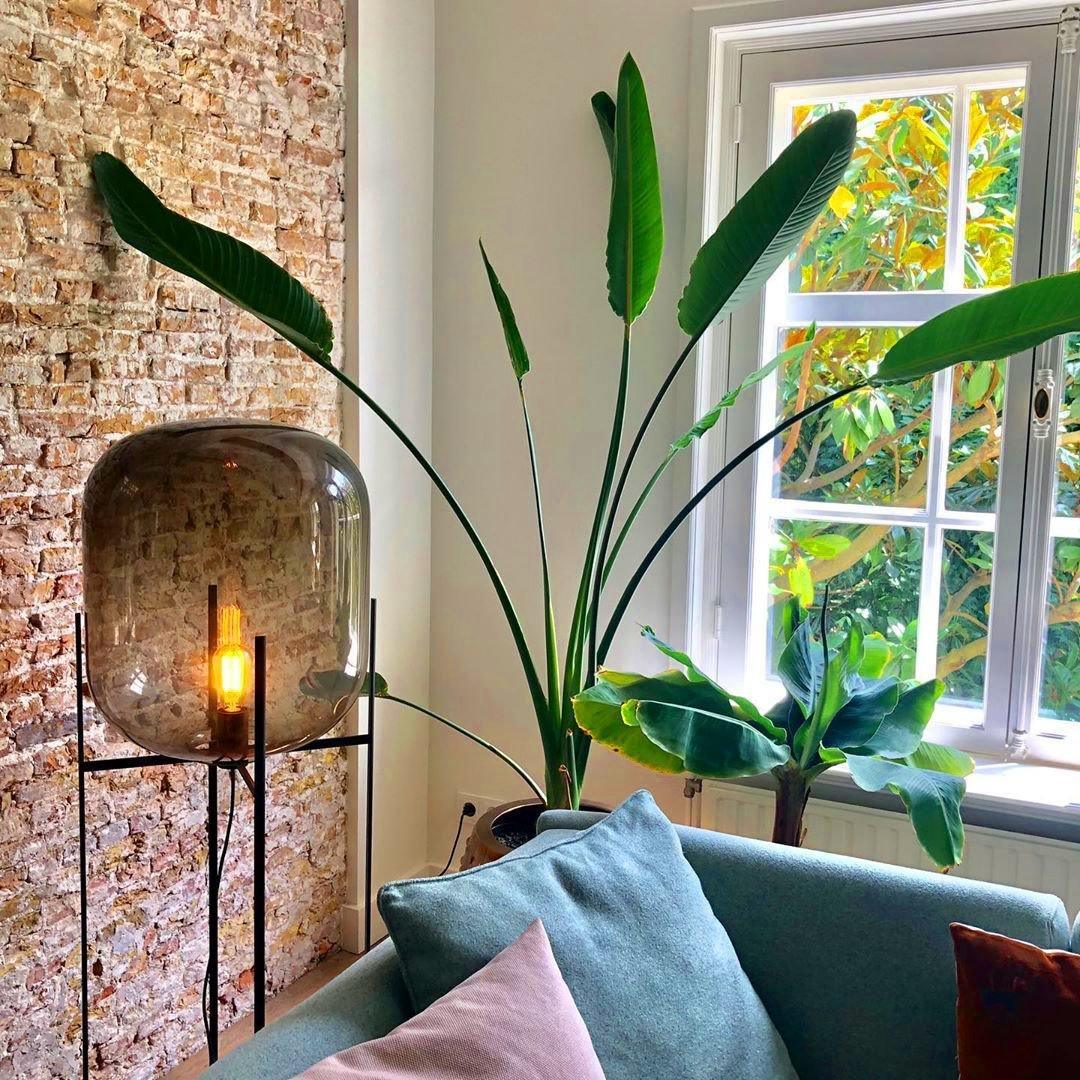 Oda Floor lamp Floor lamp