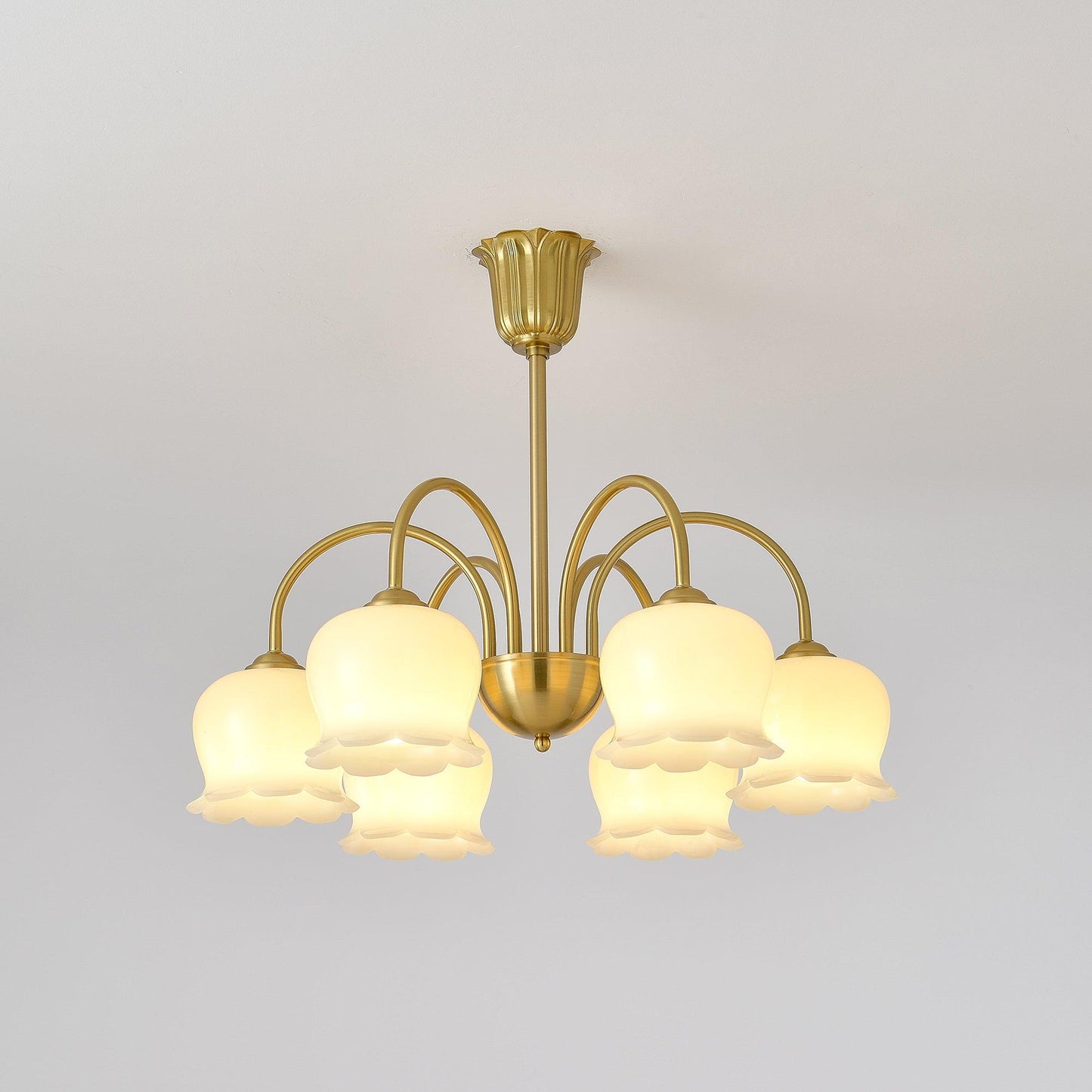 Orchids Brass Chandelier 6 Heads Dia 25.5″ x H 22″ / Dia 65cm x H 56cm / Brass & Beige Chandelier