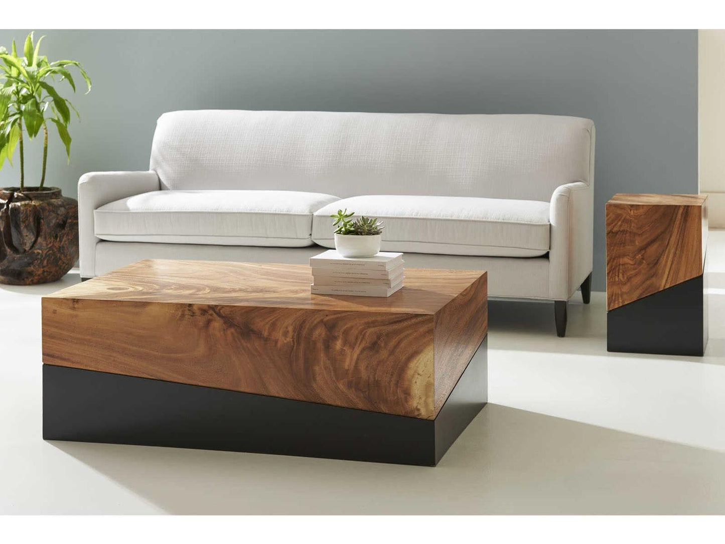 Phillips Collection
