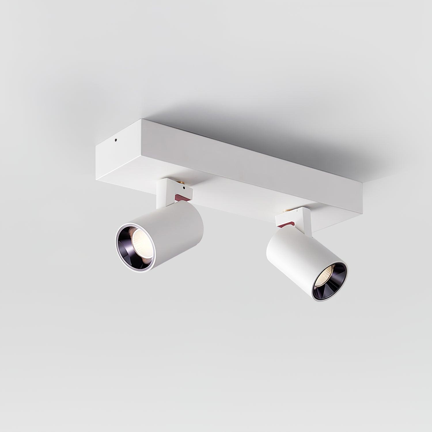 POG Double Linear Spotlight Ceiling lamp