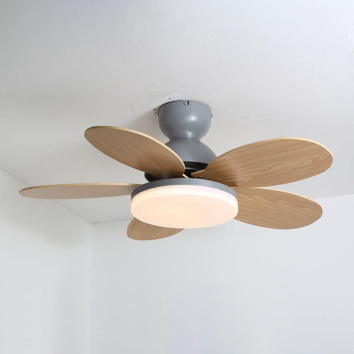 Petalo Ceiling Fan Light Grey & Wood Grain Dia 35.4″ x H 11.0″ / Three-color Changing Light