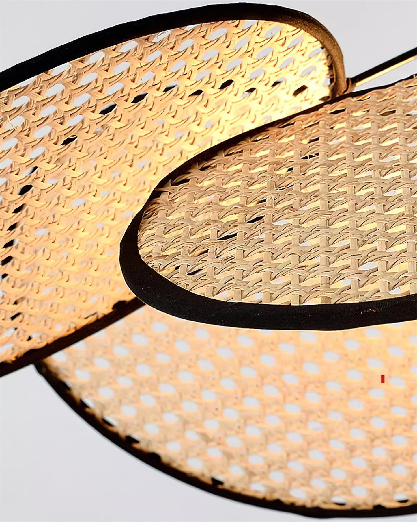 Petals Rattan Pendant Lamp Pendant light